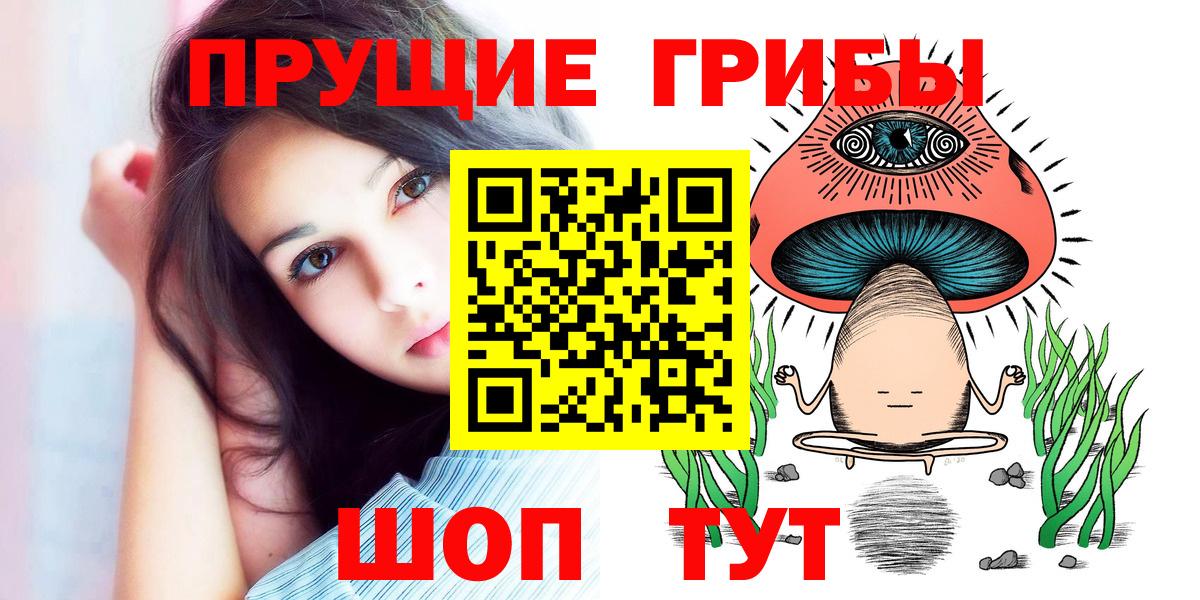 купить закладку  Вход с VPN  Красногорск  Псилоцибиновые грибы мицелий 